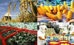 Năm 2013 phấn đấu vượt chỉ tiêu tăng trưởng xuất khẩu khoảng 10%